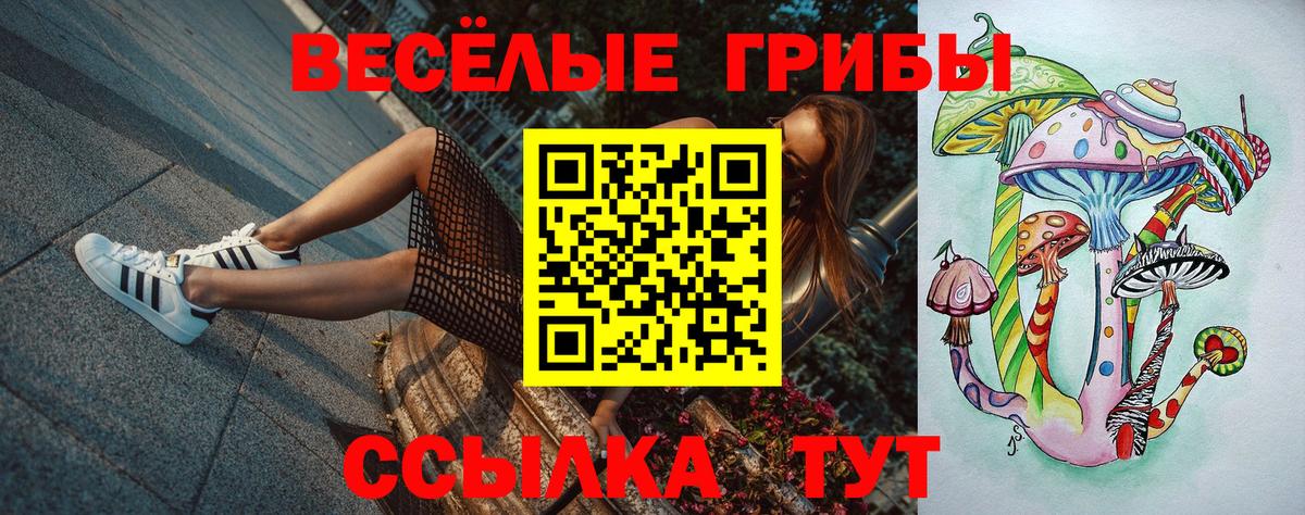 цены   Вход с VPN  Серпухов  Галлюциногенные грибы Psilocybe 