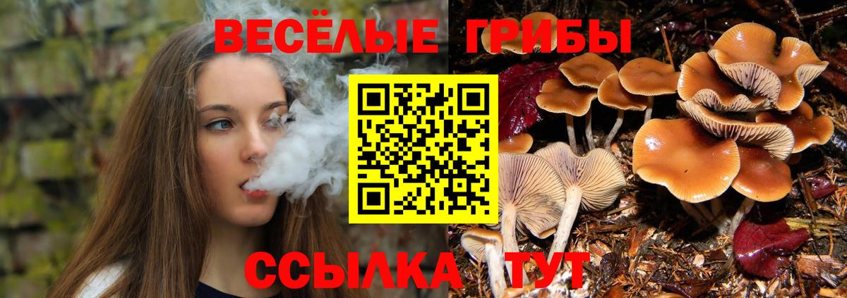 Галлюциногенные грибы мухоморы Серпухов